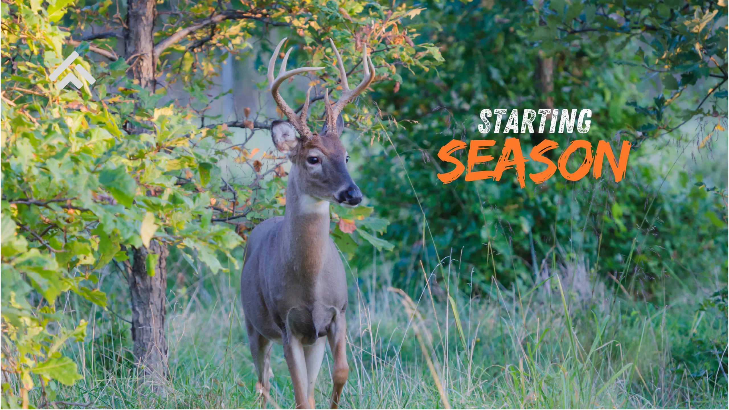 Missouri deer hunting season start